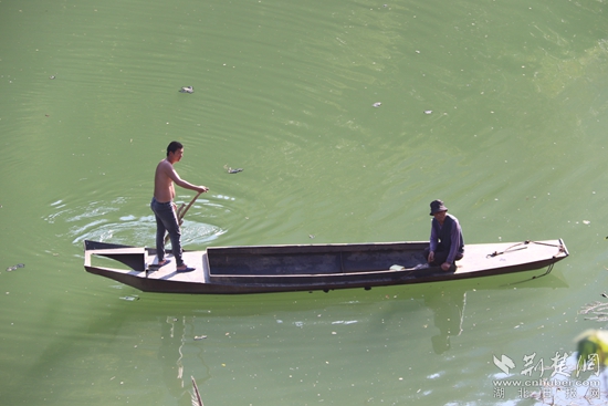 乘船出行、打魚(yú)至今都是盤(pán)山村民生活的一部分 黃錚 攝_副本.jpg
