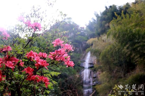 黃龍山頂，風景如畫 黃錚 攝_副本.jpg.jpg